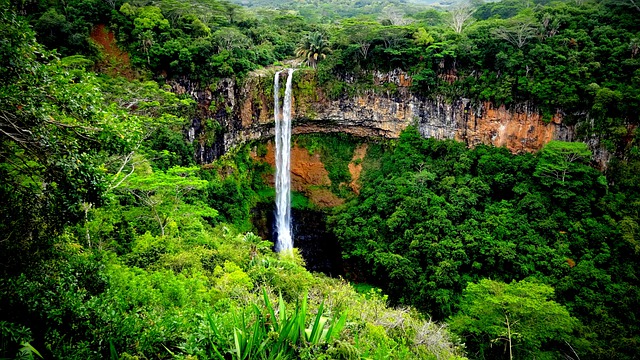 Voyage sur l’île Maurice : 4 parcs naturels à visiter