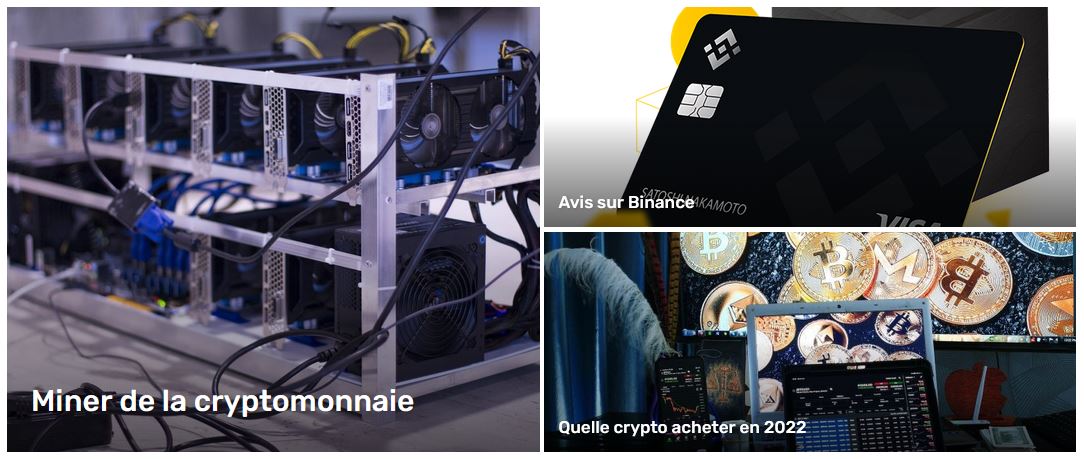 Infos cryptomonnaie, bien comprendre sur ce domaine et découvrir les bons wallets